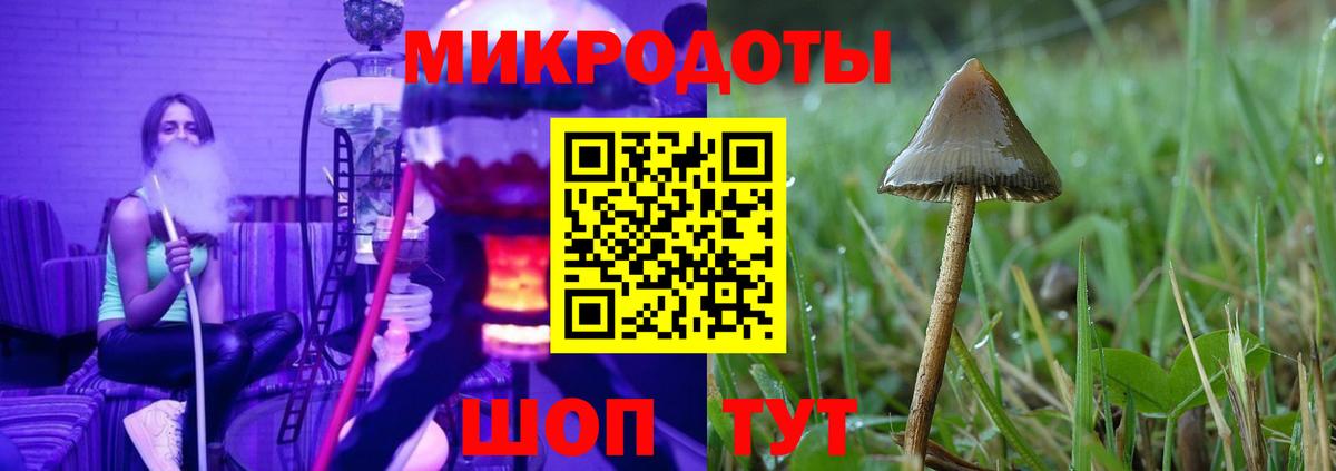 Псилоцибиновые грибы ЛСД Майкоп