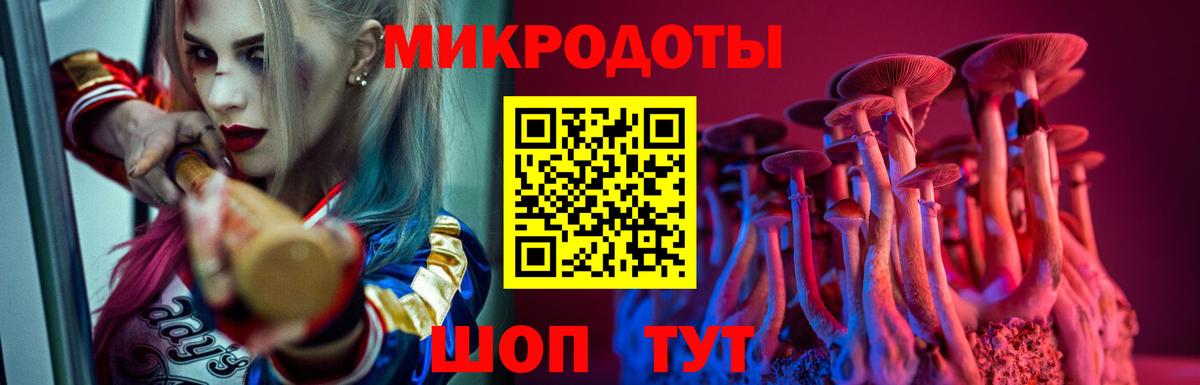 Майкоп  Галлюциногенные грибы Psilocybe  Вход с VPN  Псилоцибиновые грибы мухоморы 